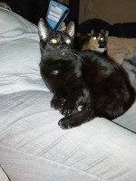 /album/04-01-2026/whatsapp-image-2026-01-04-at-20-57-46-2-jpeg/